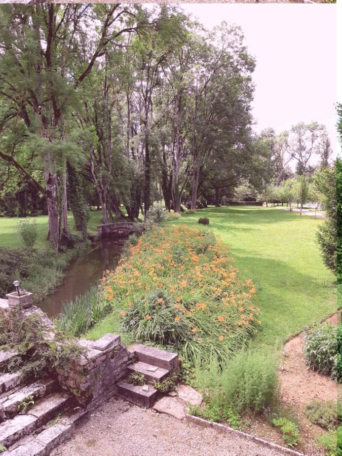 Gite Moulin De La Serree 尼伊圣乔治 外观 照片