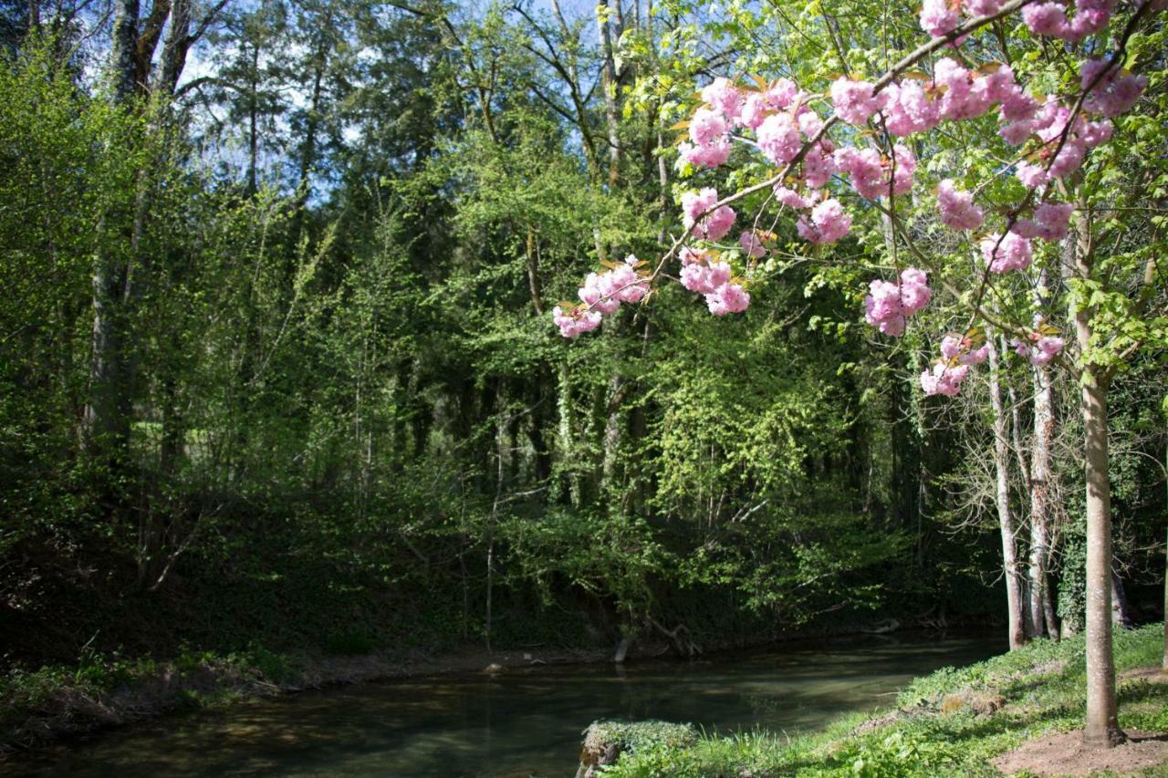 Gite Moulin De La Serree 尼伊圣乔治 外观 照片