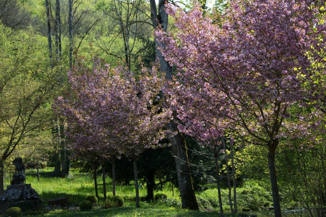 Gite Moulin De La Serree 尼伊圣乔治 外观 照片